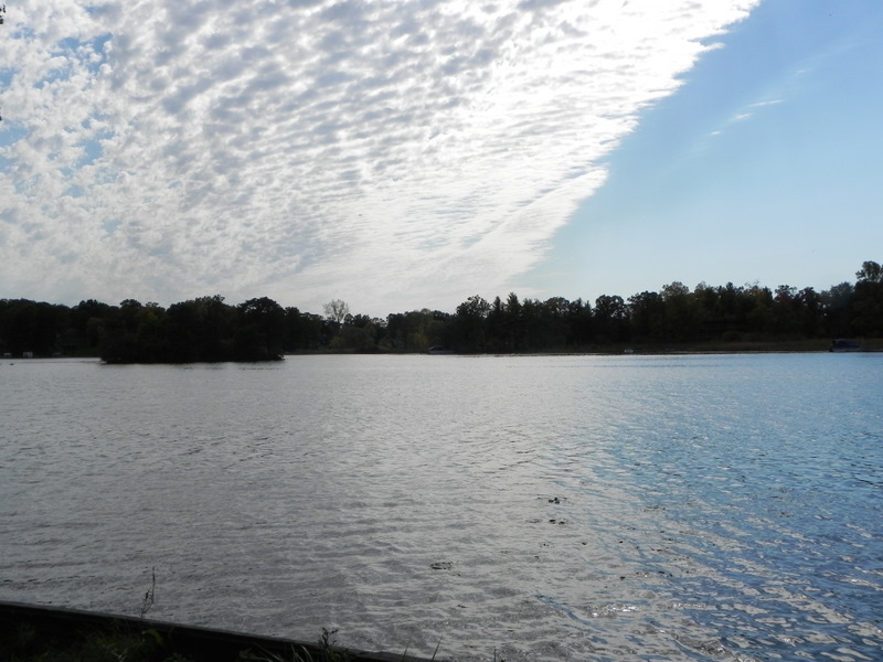 Lotus Lake Waterford Twp Michigan
